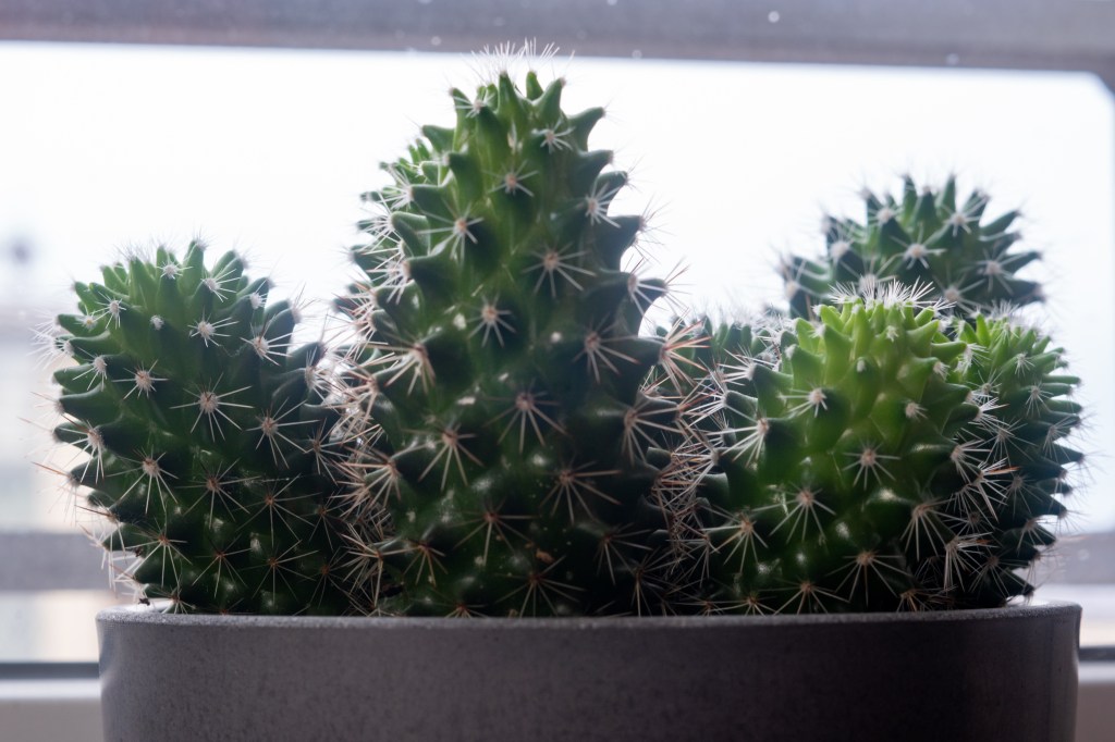 Was soll ich&nbsp;fotografieren?