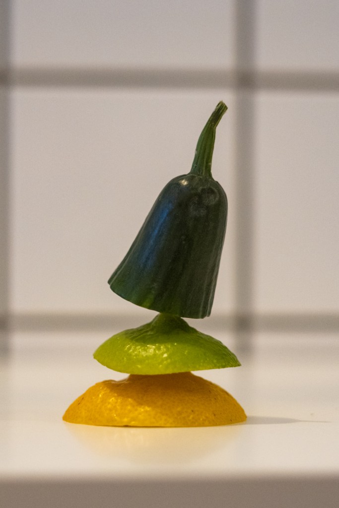 Ein neues Projekt – IN LAUTER&nbsp;STILLE