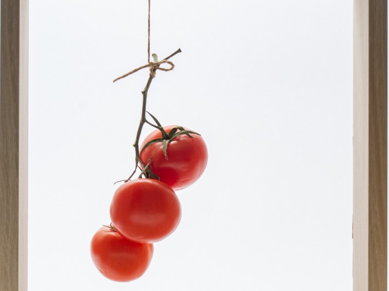 La dolce vita und&nbsp;Tomaten
